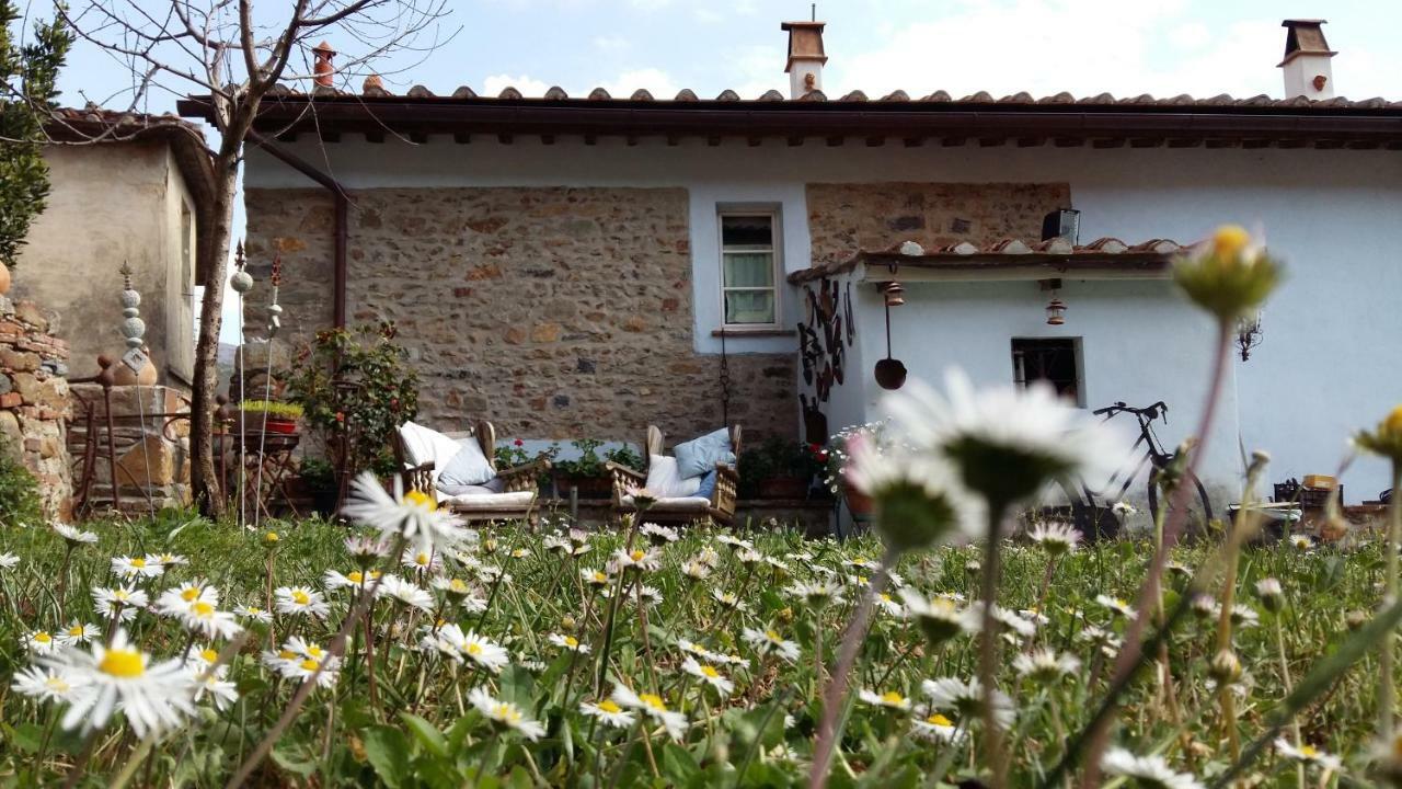 Il Colle Calci Exterior foto