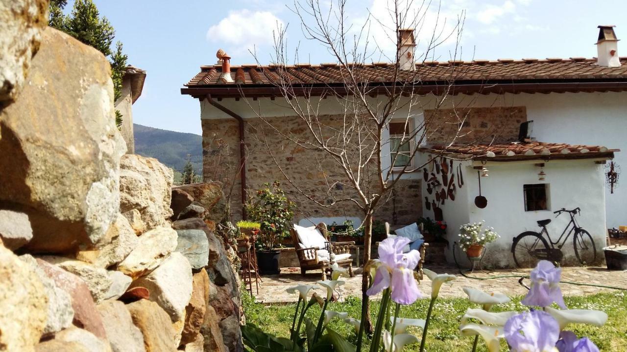 Il Colle Calci Exterior foto